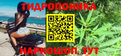 гидра Тверь