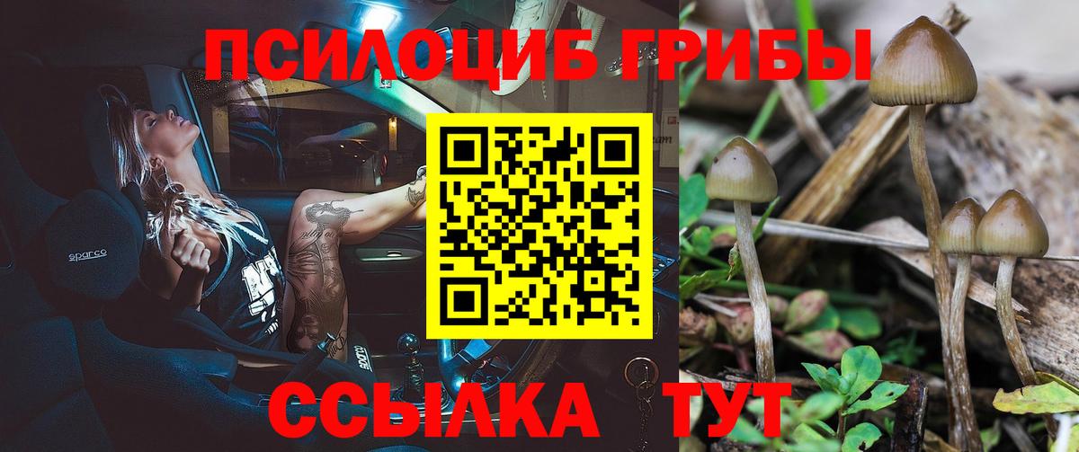Псилоцибиновые грибы мухоморы  Галлюциногенные грибы ЛСД  Нерюнгри  Вход с VPN 